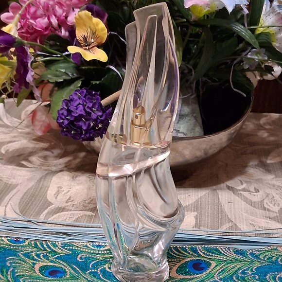 Empty Donna Karan Cashmere Mist - Picture 1 of 3